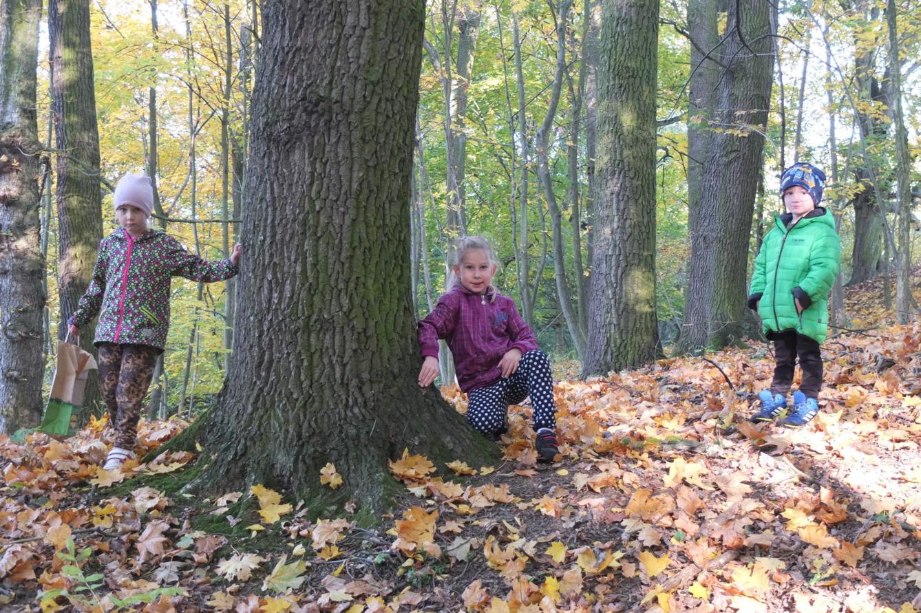 Návštěva kaštanky - 13