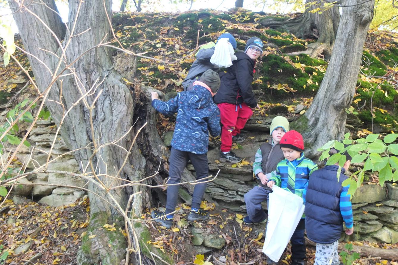 Návštěva kaštanky - 15