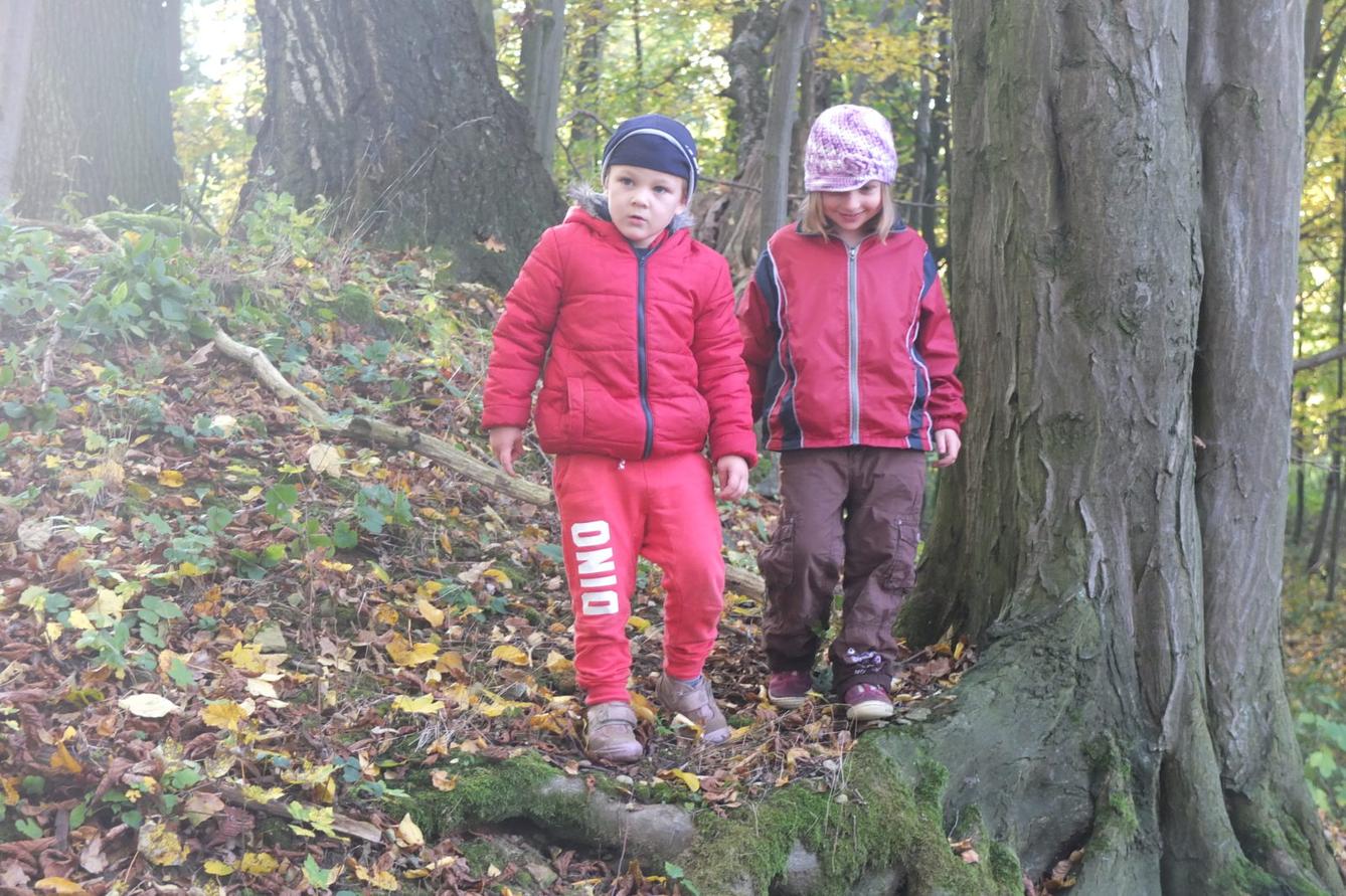 Návštěva kaštanky - 17