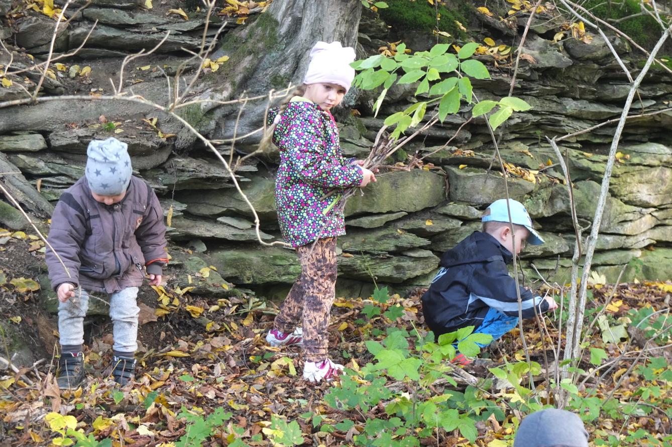 Návštěva kaštanky - 21