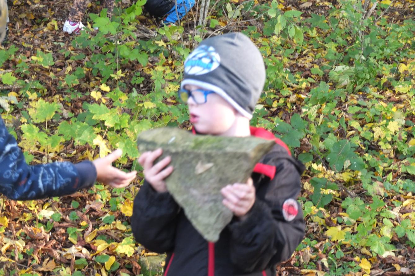 Návštěva kaštanky - 22