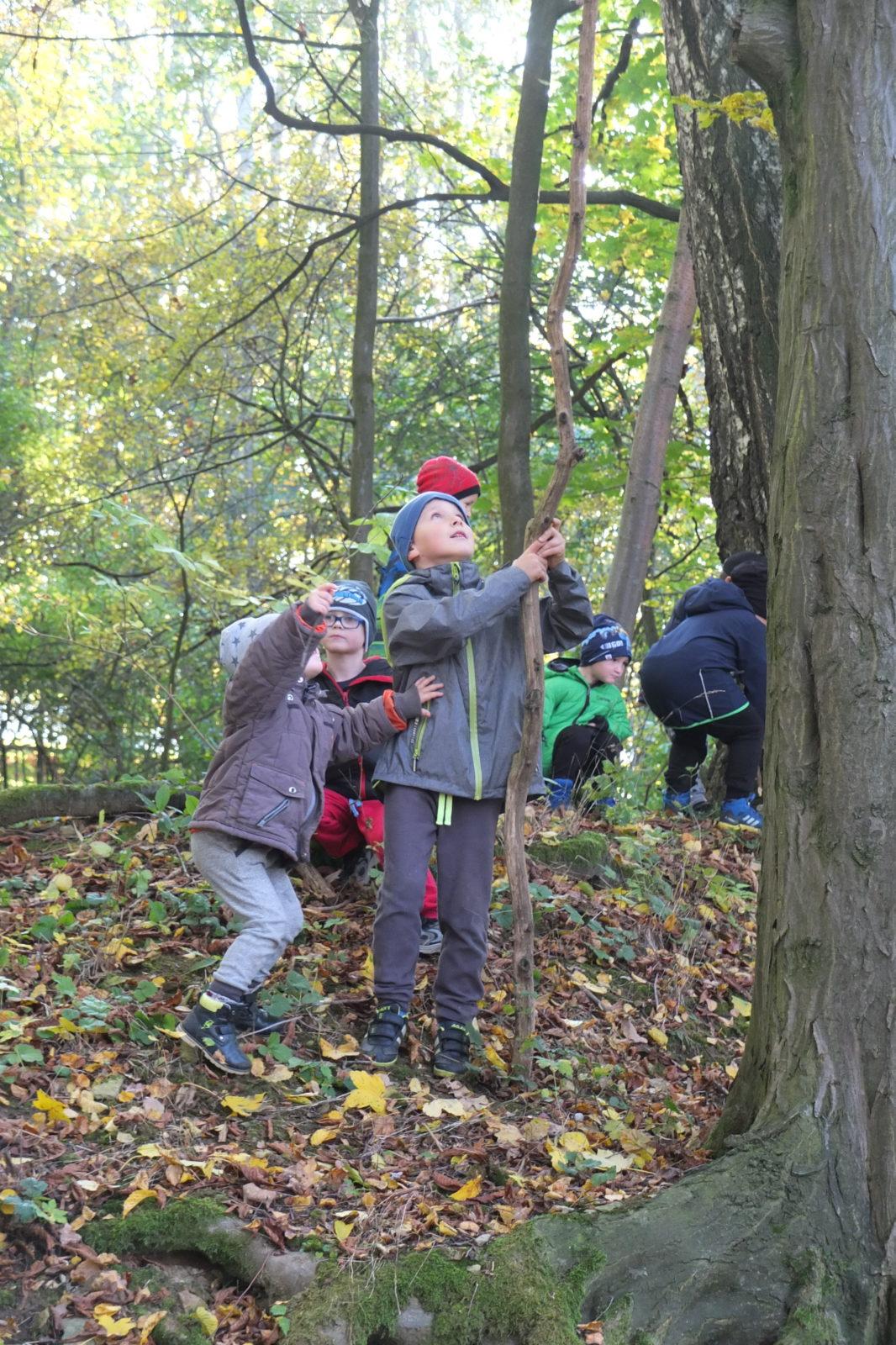 Návštěva kaštanky - 25