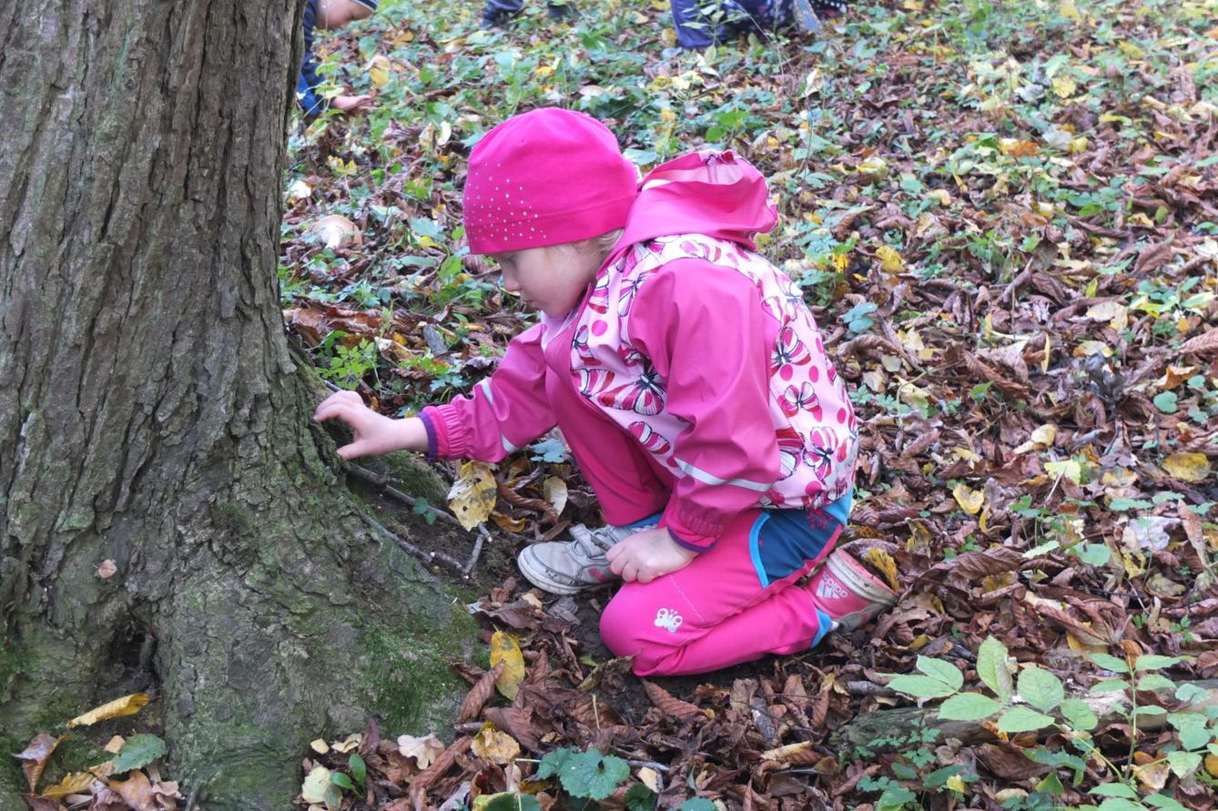 Návštěva kaštanky - 28