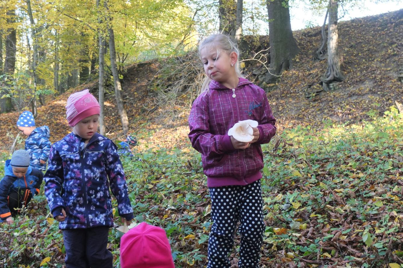 Návštěva kaštanky - 29