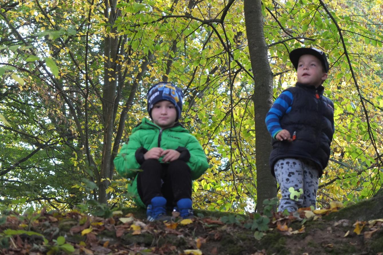 Návštěva kaštanky - 30