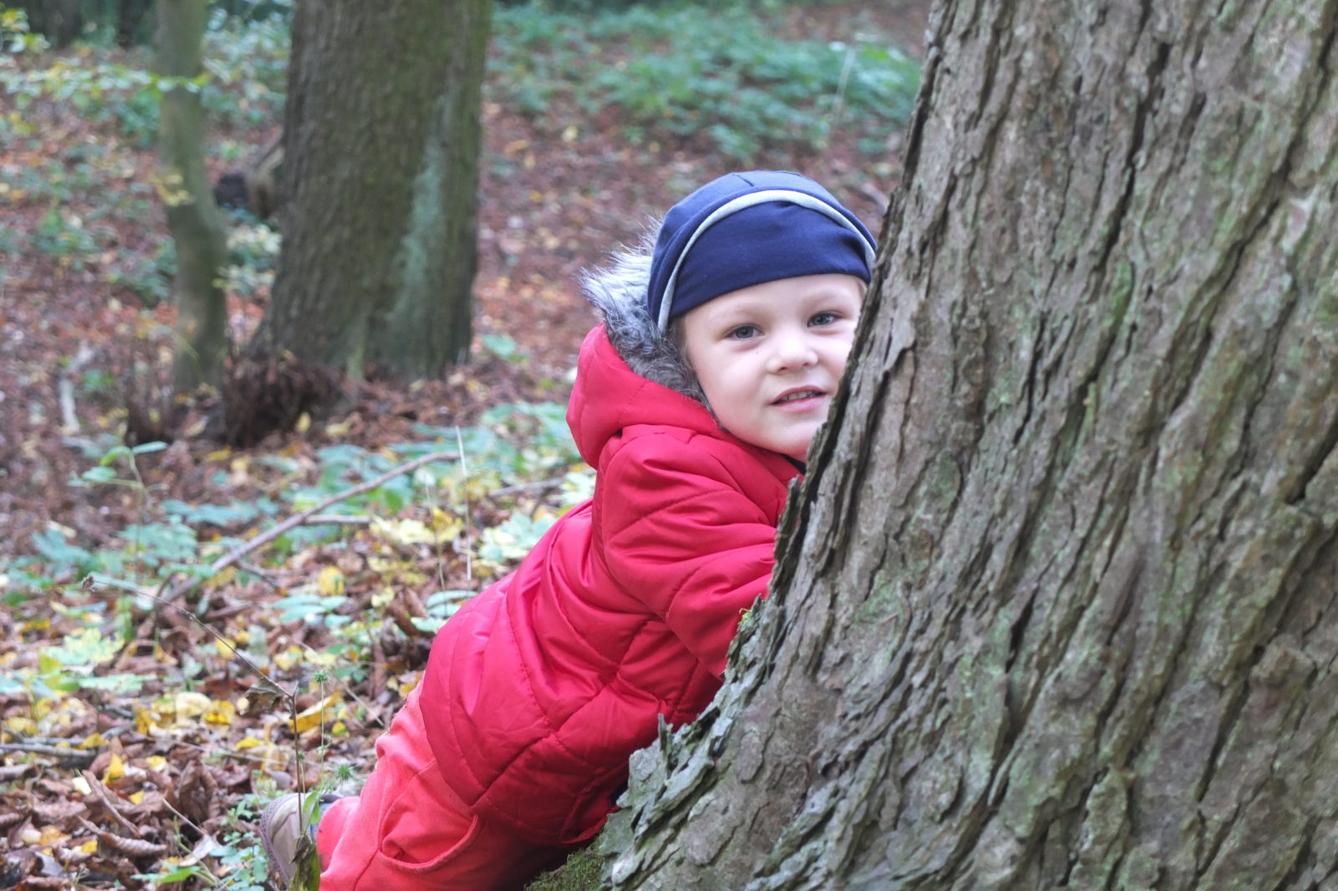 Návštěva kaštanky - 31