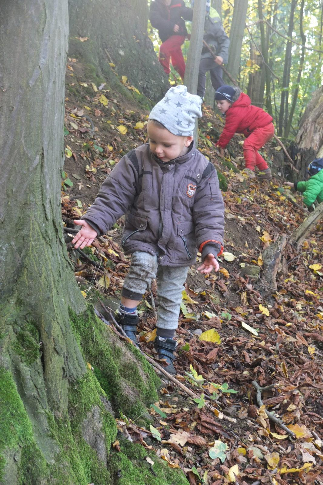 Návštěva kaštanky - 36