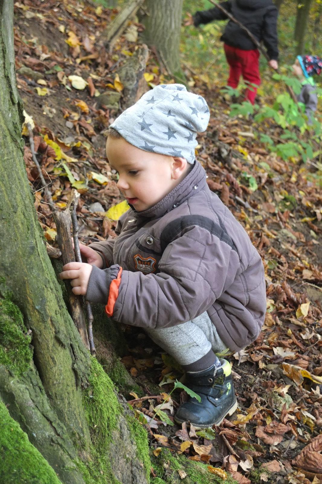 Návštěva kaštanky - 37