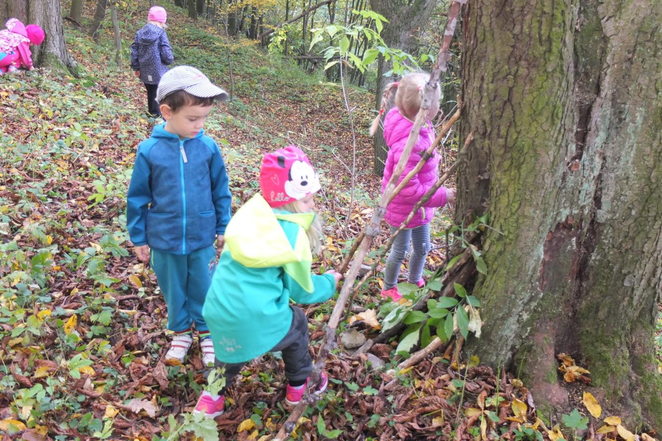 Návštěva kaštanky - 40