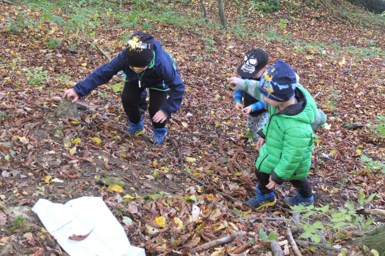 Návštěva kaštanky - 43