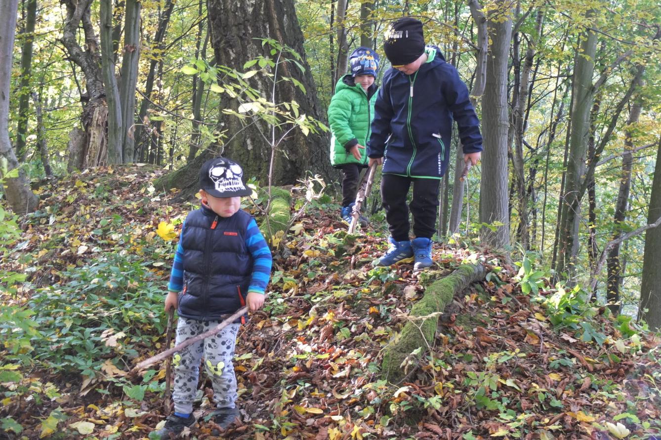 Návštěva kaštanky - 47