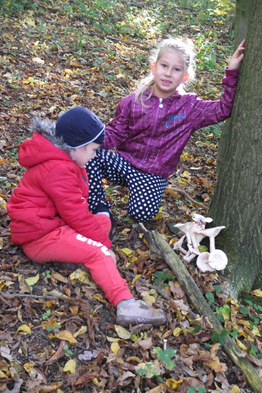 Návštěva kaštanky - 49