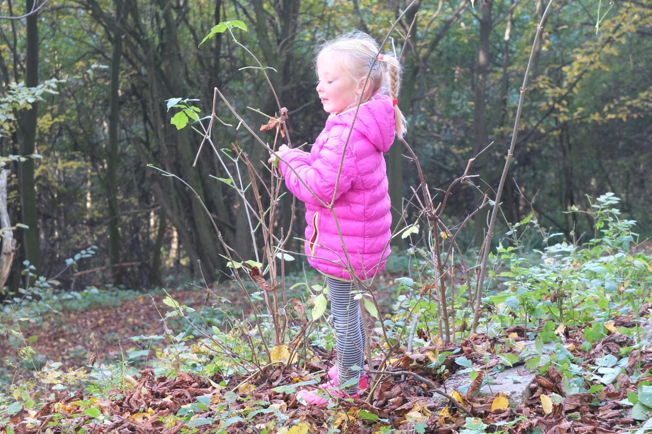 Návštěva kaštanky - 50