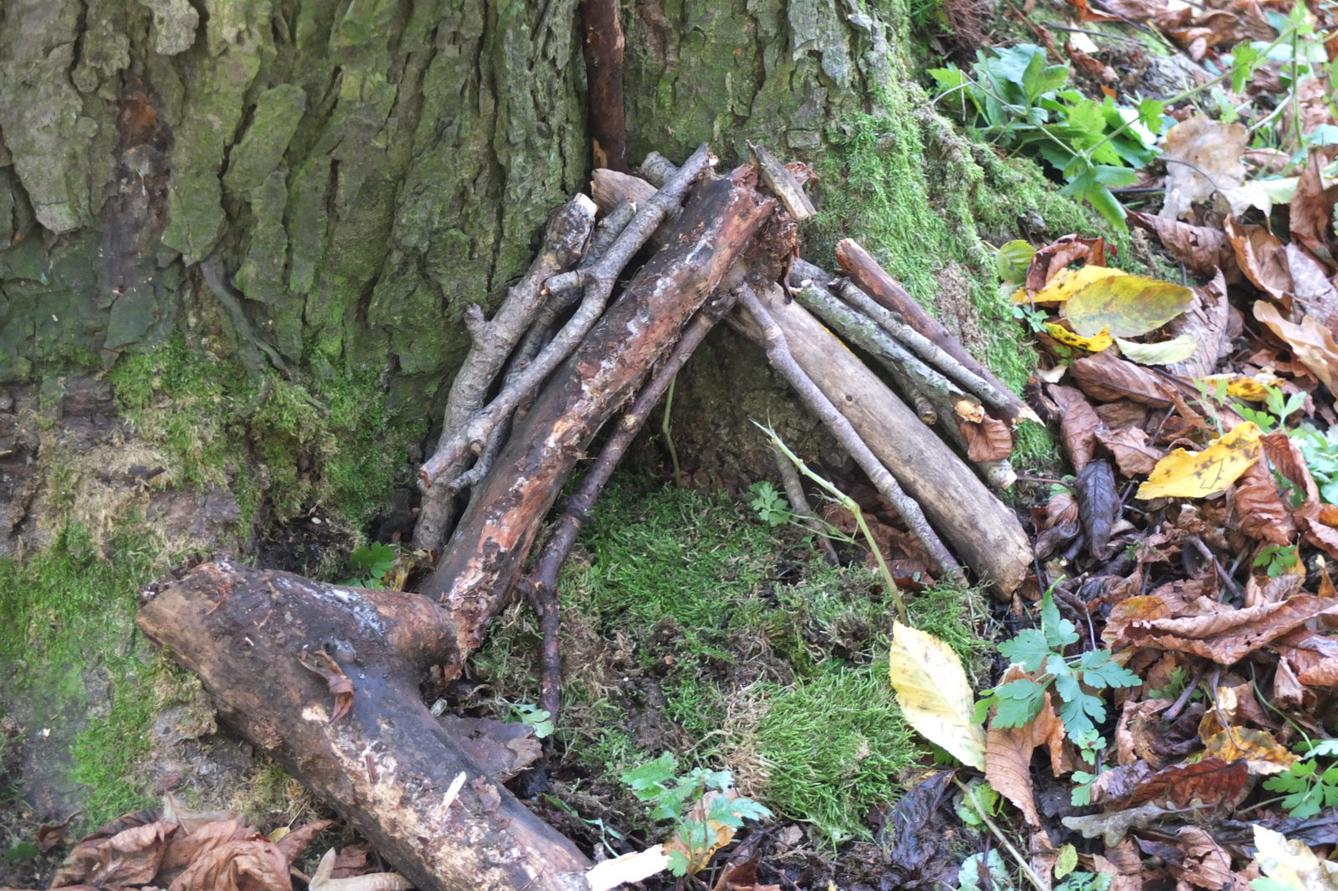 Návštěva kaštanky - 53