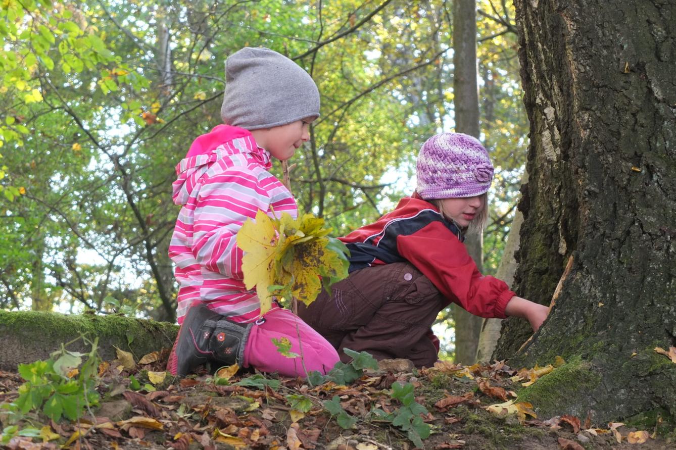 Návštěva kaštanky - 54