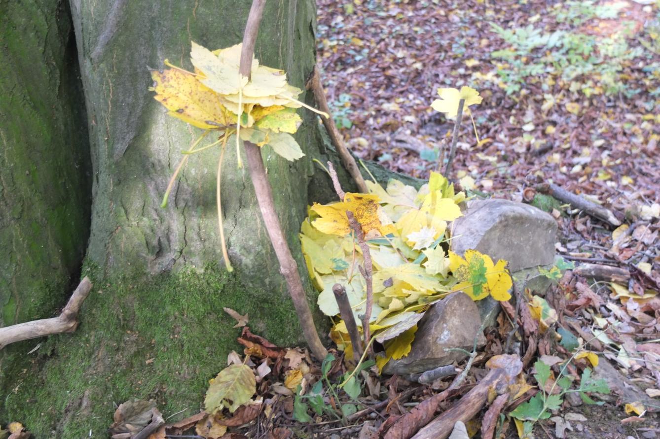 Návštěva kaštanky - 55