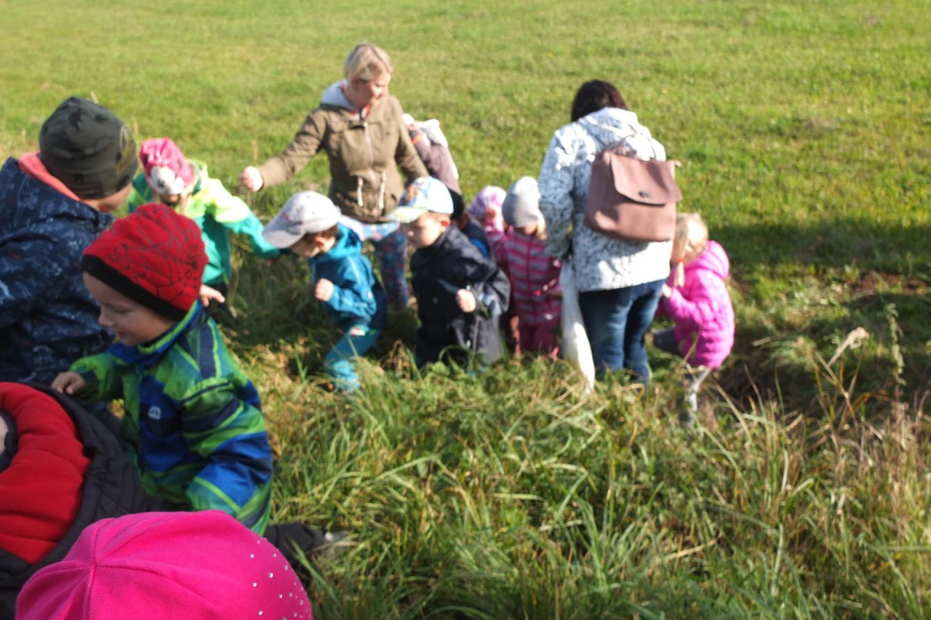 Návštěva kaštanky - 61