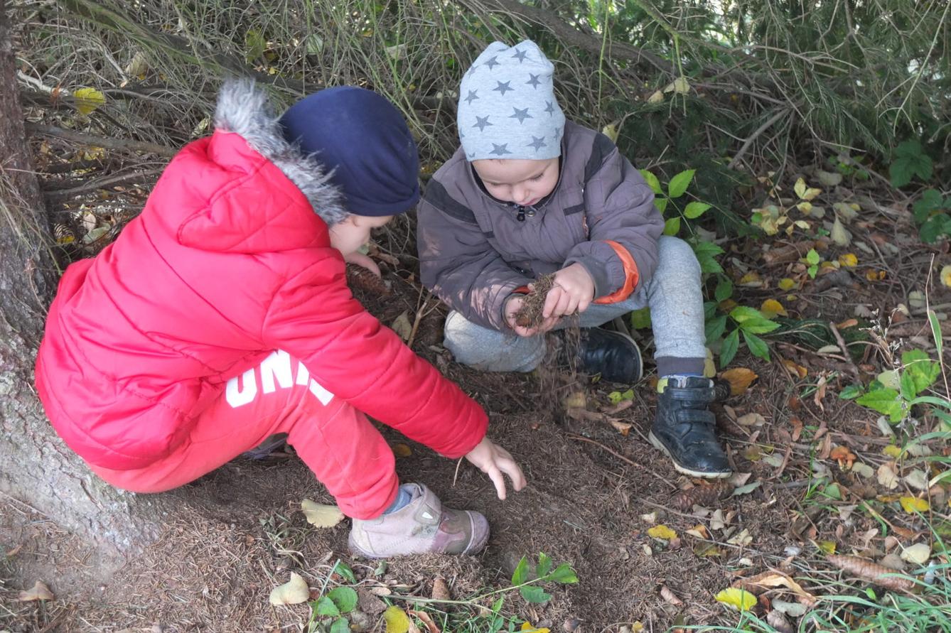 Návštěva kaštanky - 67