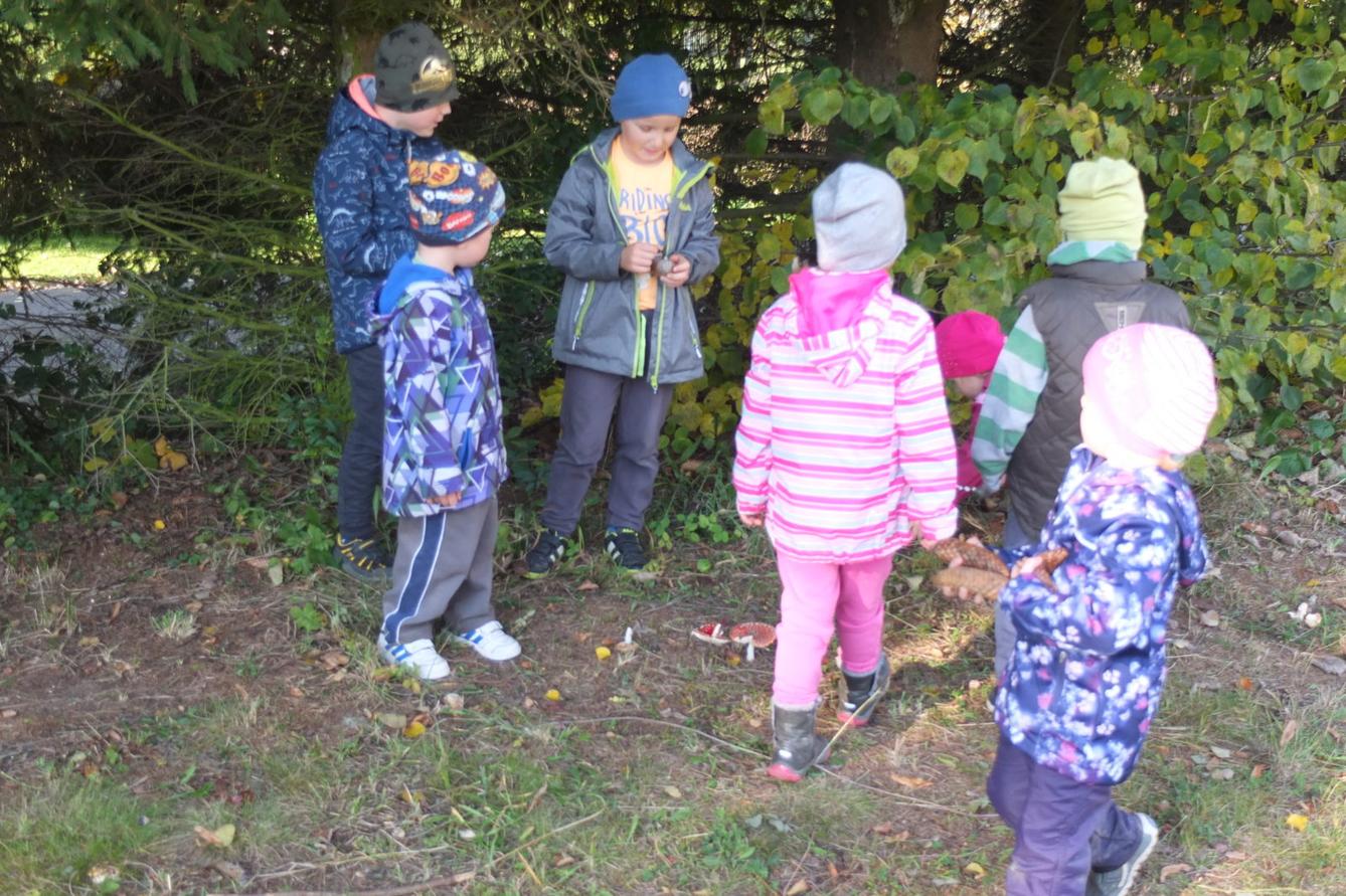 Návštěva kaštanky - 69