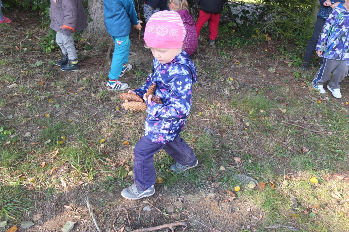 Návštěva kaštanky - 70