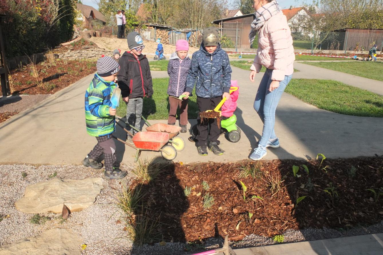Sázíme bylinky na zahradě - 1