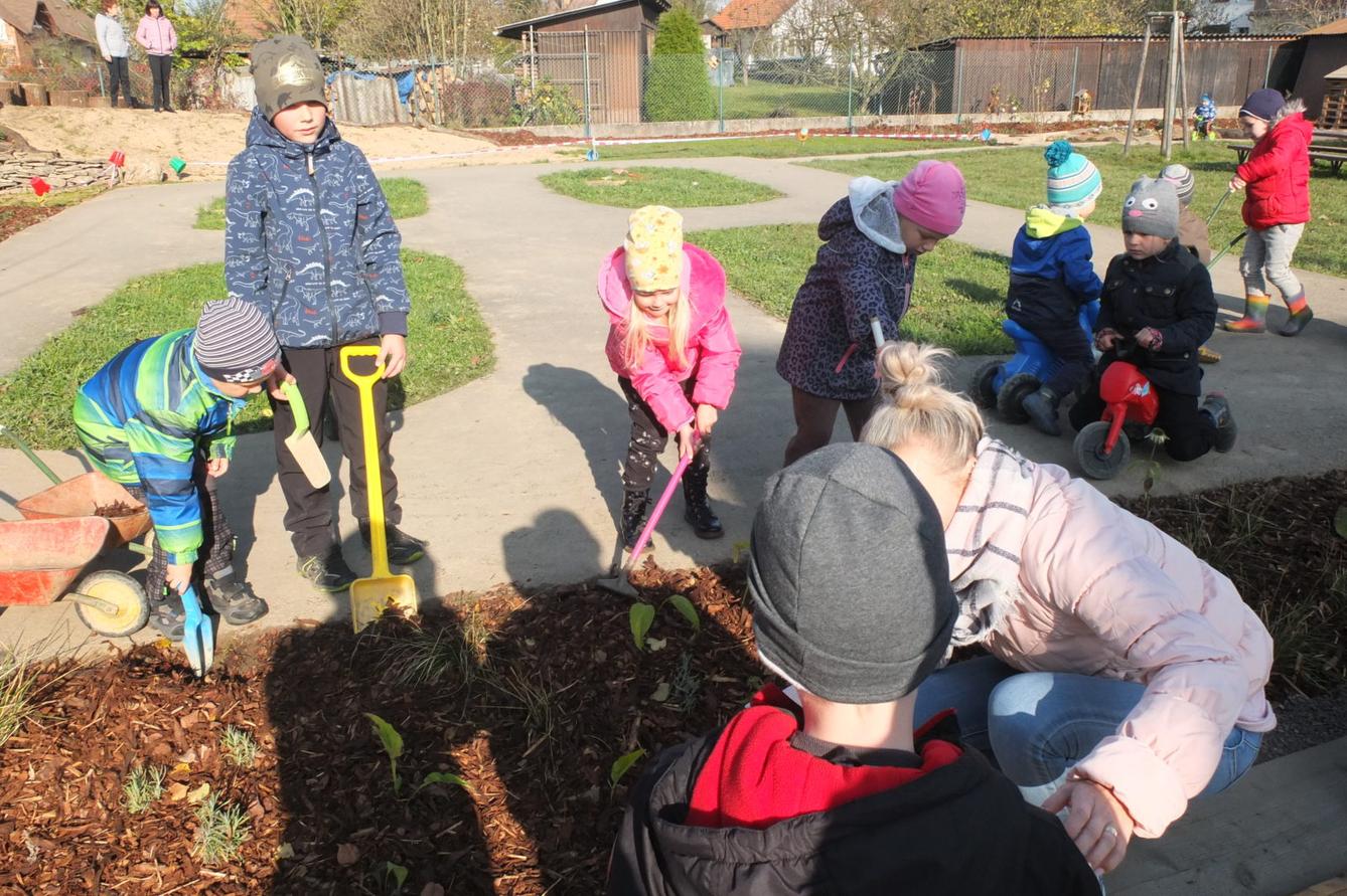 Sázíme bylinky na zahradě - 3