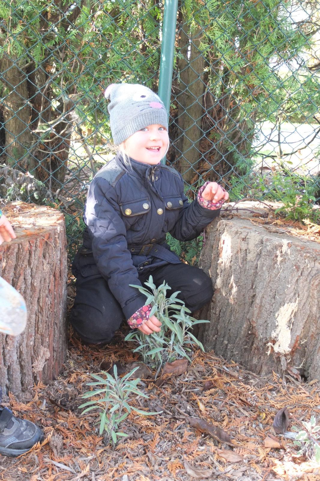 Sázíme bylinky na zahradě - 9