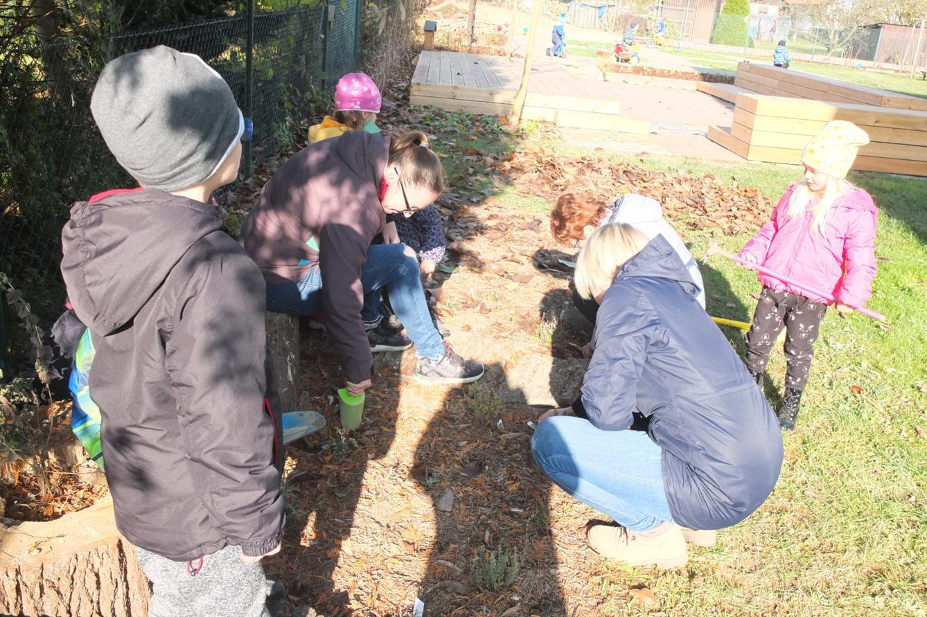 Sázíme bylinky na zahradě - 11