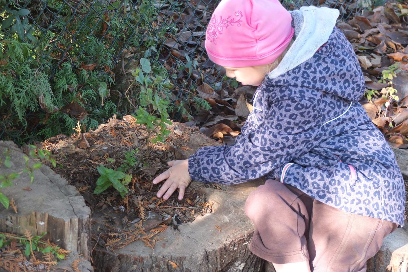 Sázíme bylinky na zahradě - 13