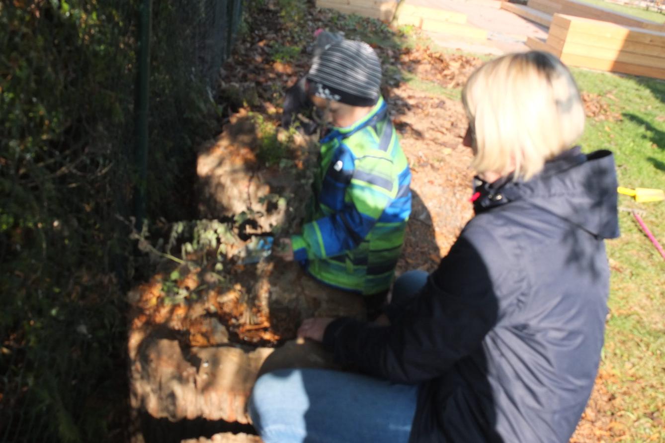 Sázíme bylinky na zahradě - 15