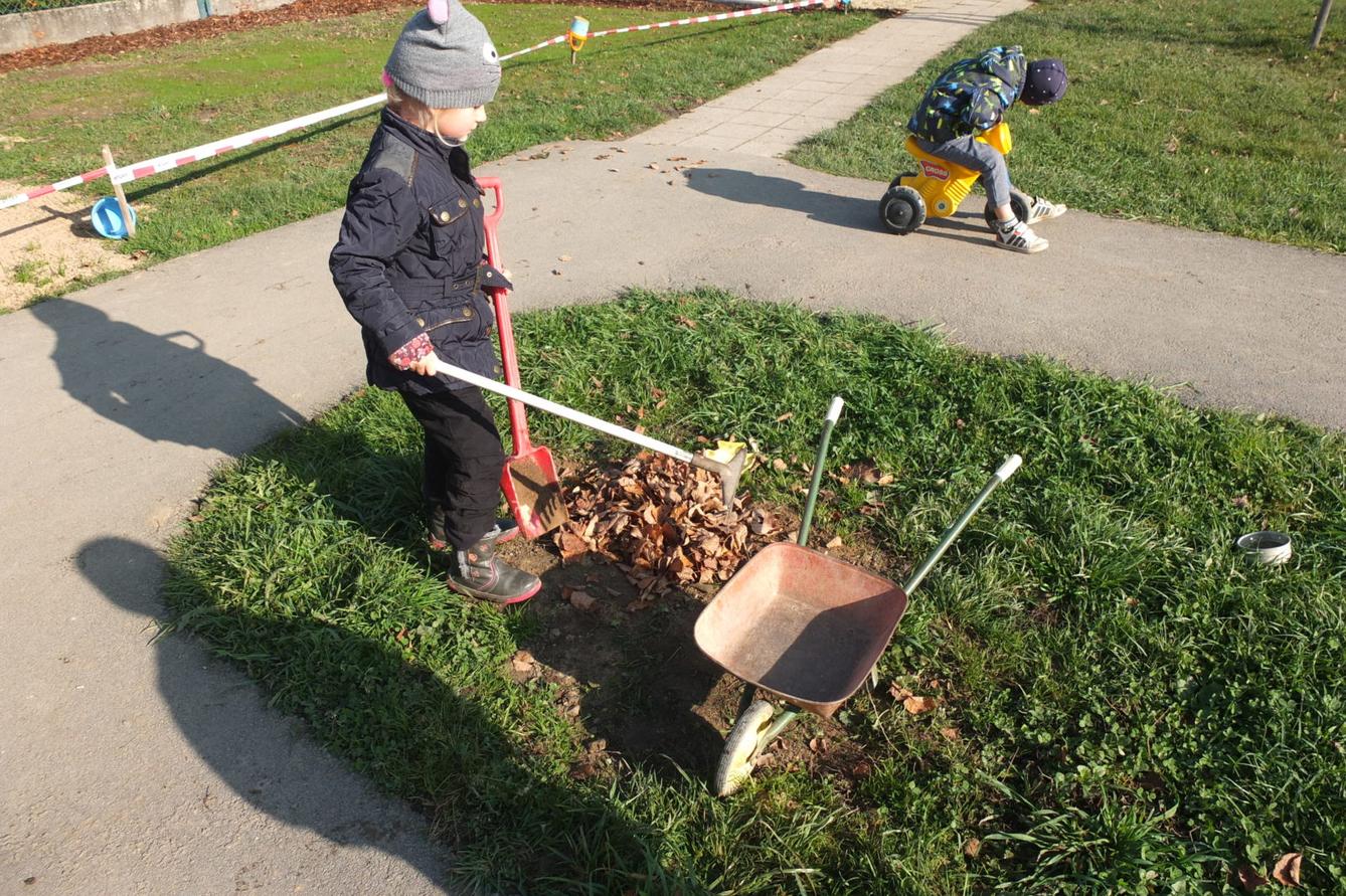 Sázíme bylinky na zahradě - 17