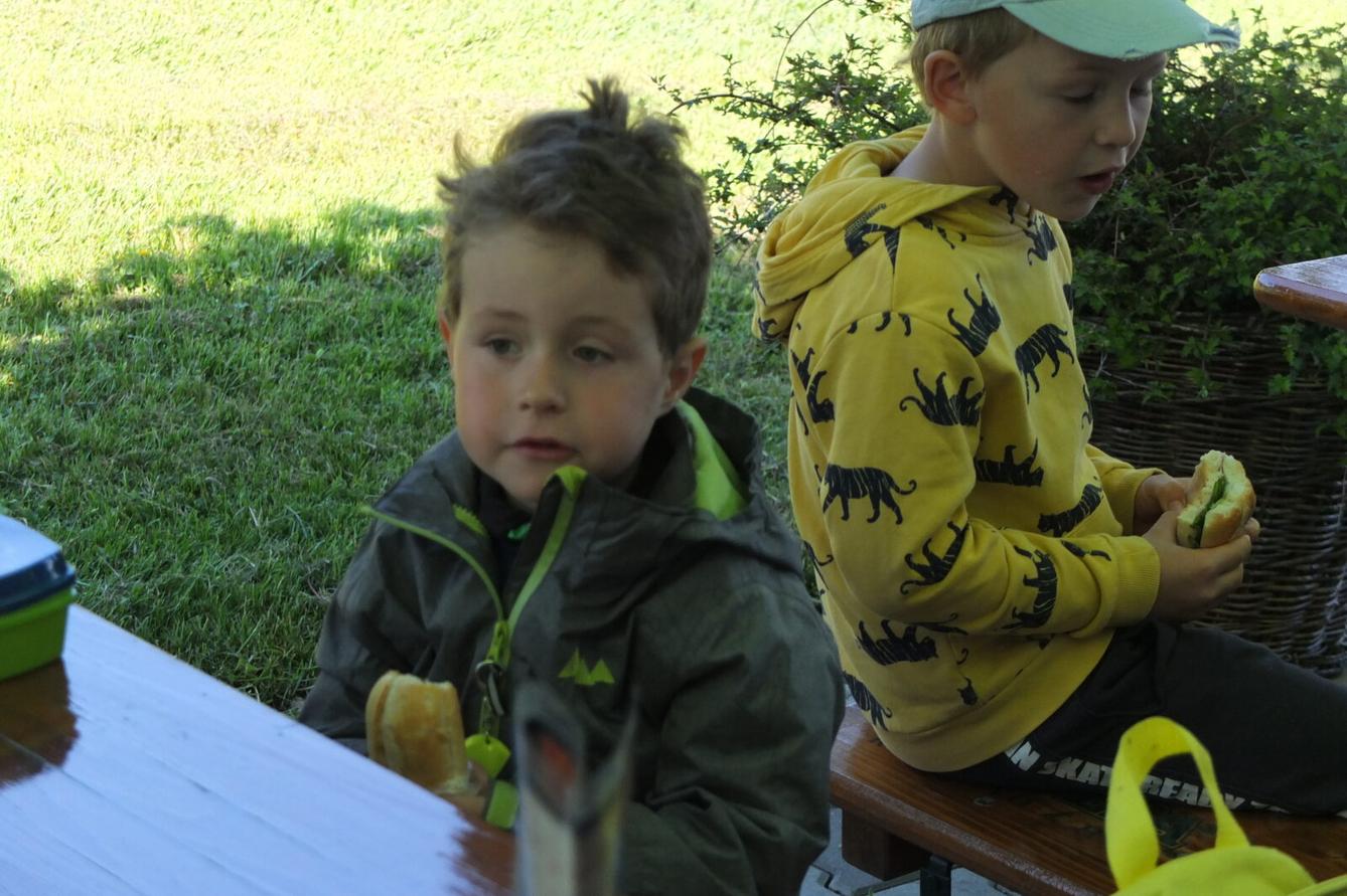 Výlet "Pinguin park" - Přívrat - 5