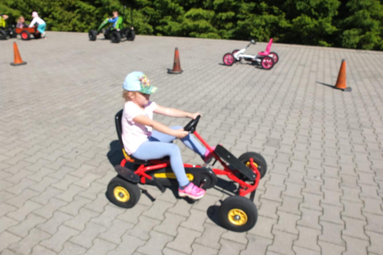 Výlet "Pinguin park" - Přívrat - 30