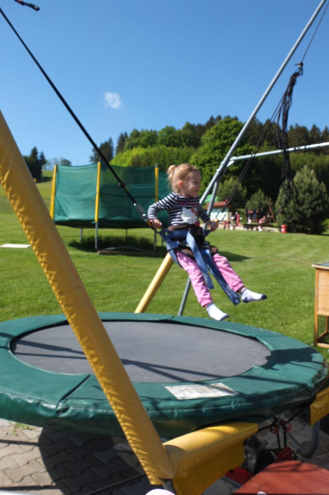 Výlet "Pinguin park" - Přívrat - 35