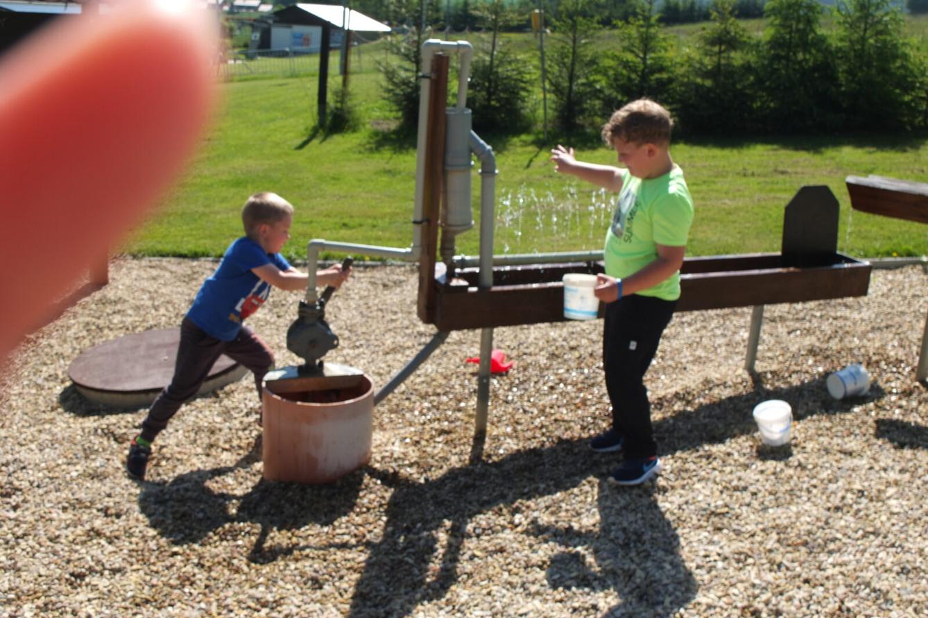 Výlet "Pinguin park" - Přívrat - 39