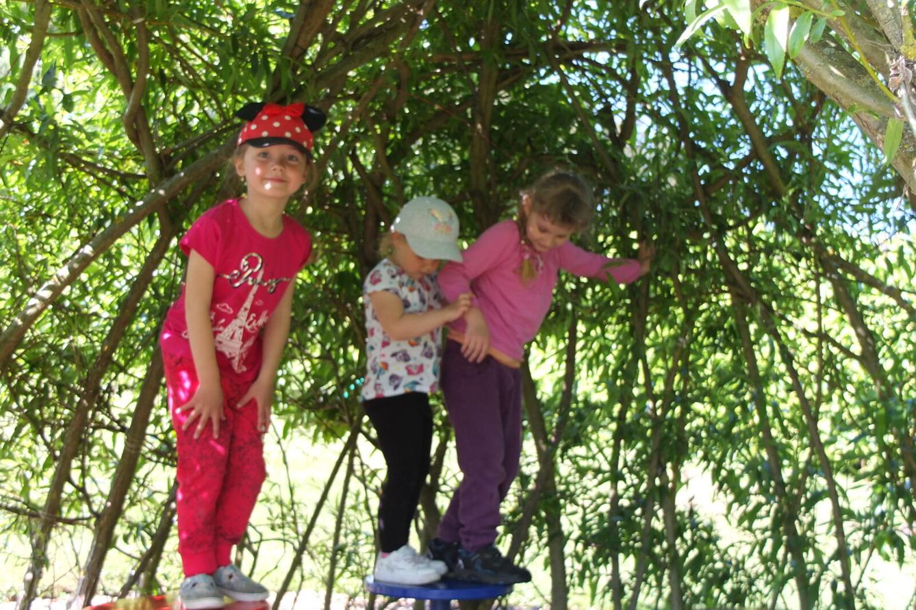 Výlet "Pinguin park" - Přívrat - 41