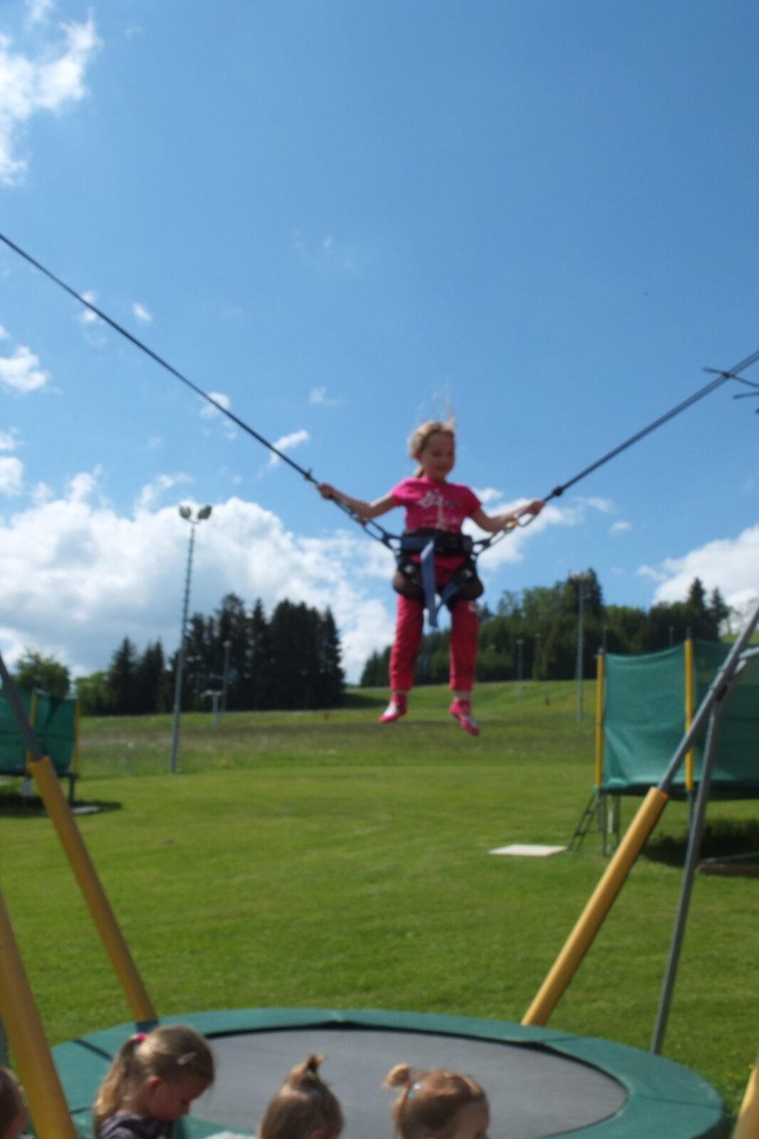 Výlet "Pinguin park" - Přívrat - 54