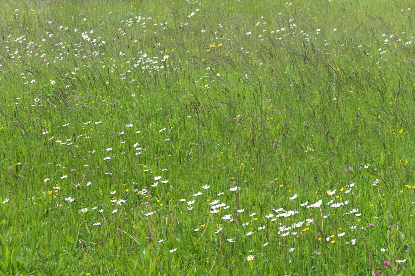 Výlet "Pinguin park" - Přívrat - 59