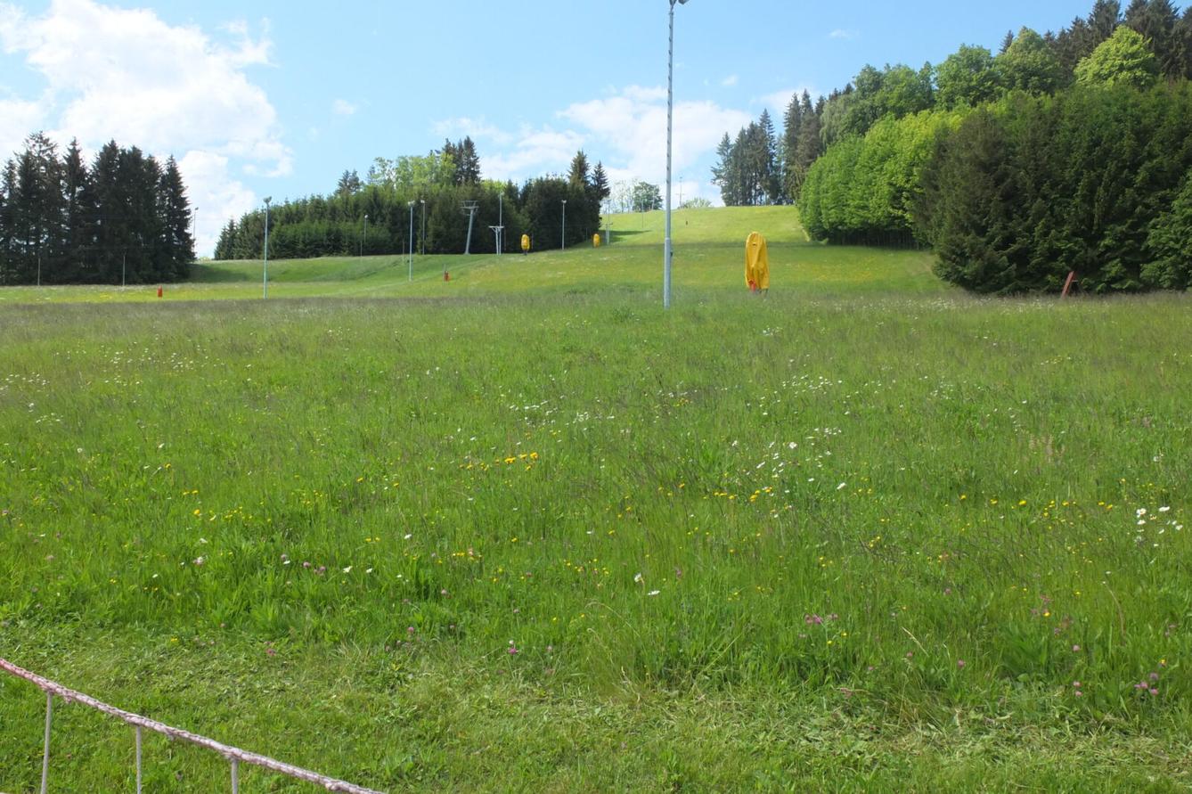 Výlet "Pinguin park" - Přívrat - 60