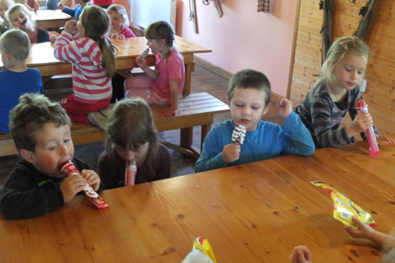 Výlet "Pinguin park" - Přívrat - 75