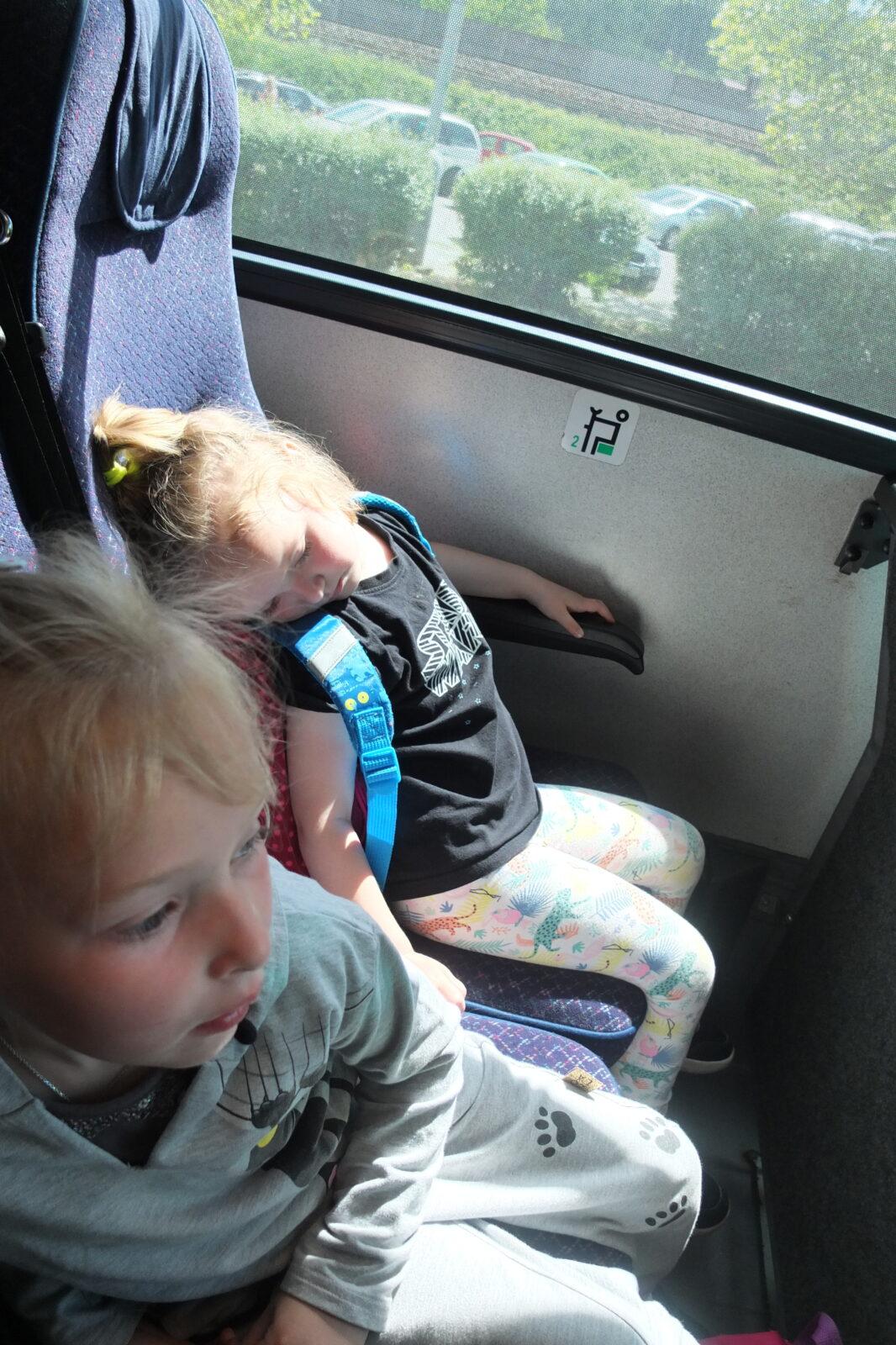 Výlet "Pinguin park" - Přívrat - 80