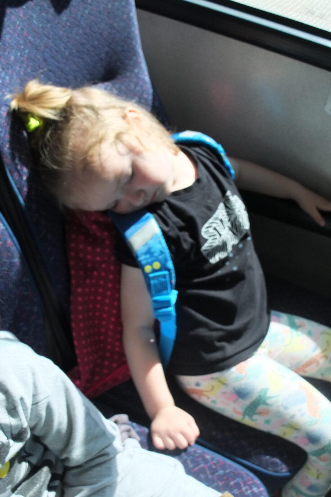 Výlet "Pinguin park" - Přívrat - 86