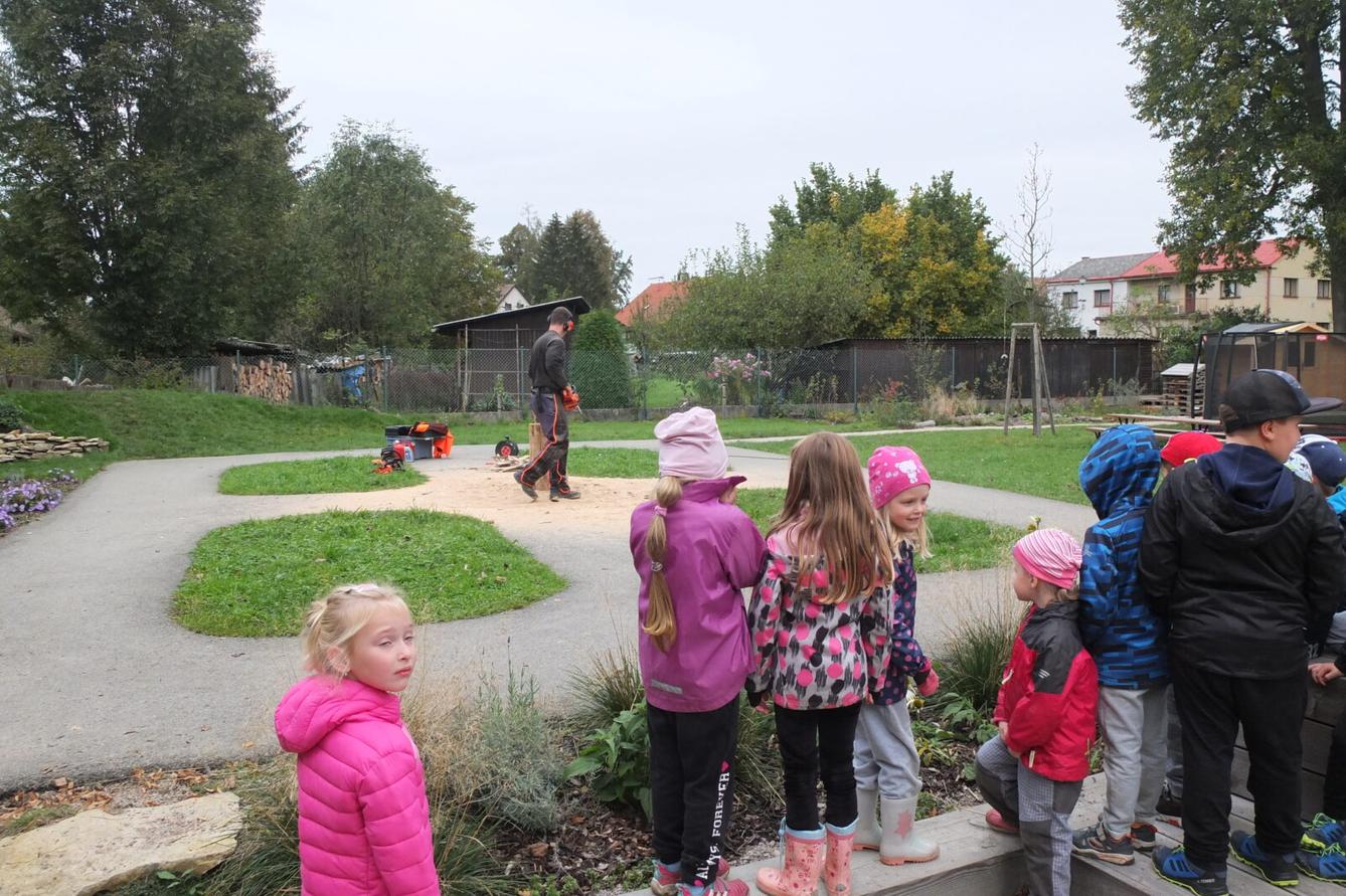 Sochy ze dřeva - p. Petrlák - 5