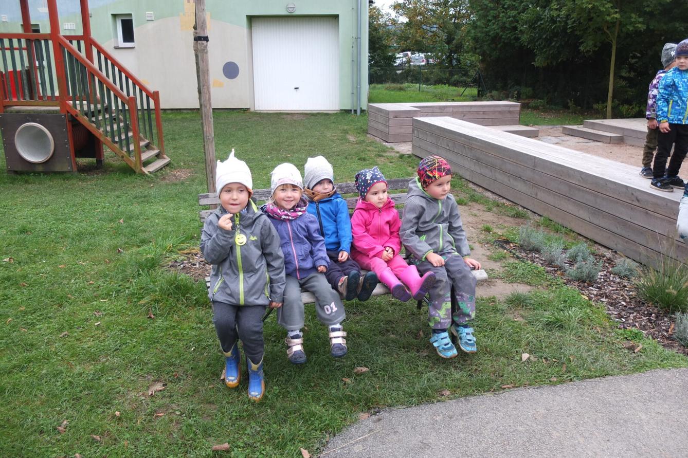 Sochy ze dřeva - p. Petrlák - 12