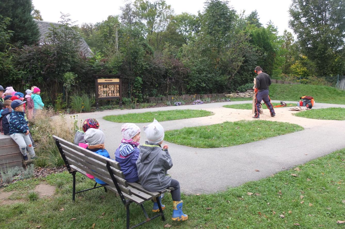 Sochy ze dřeva - p. Petrlák - 13