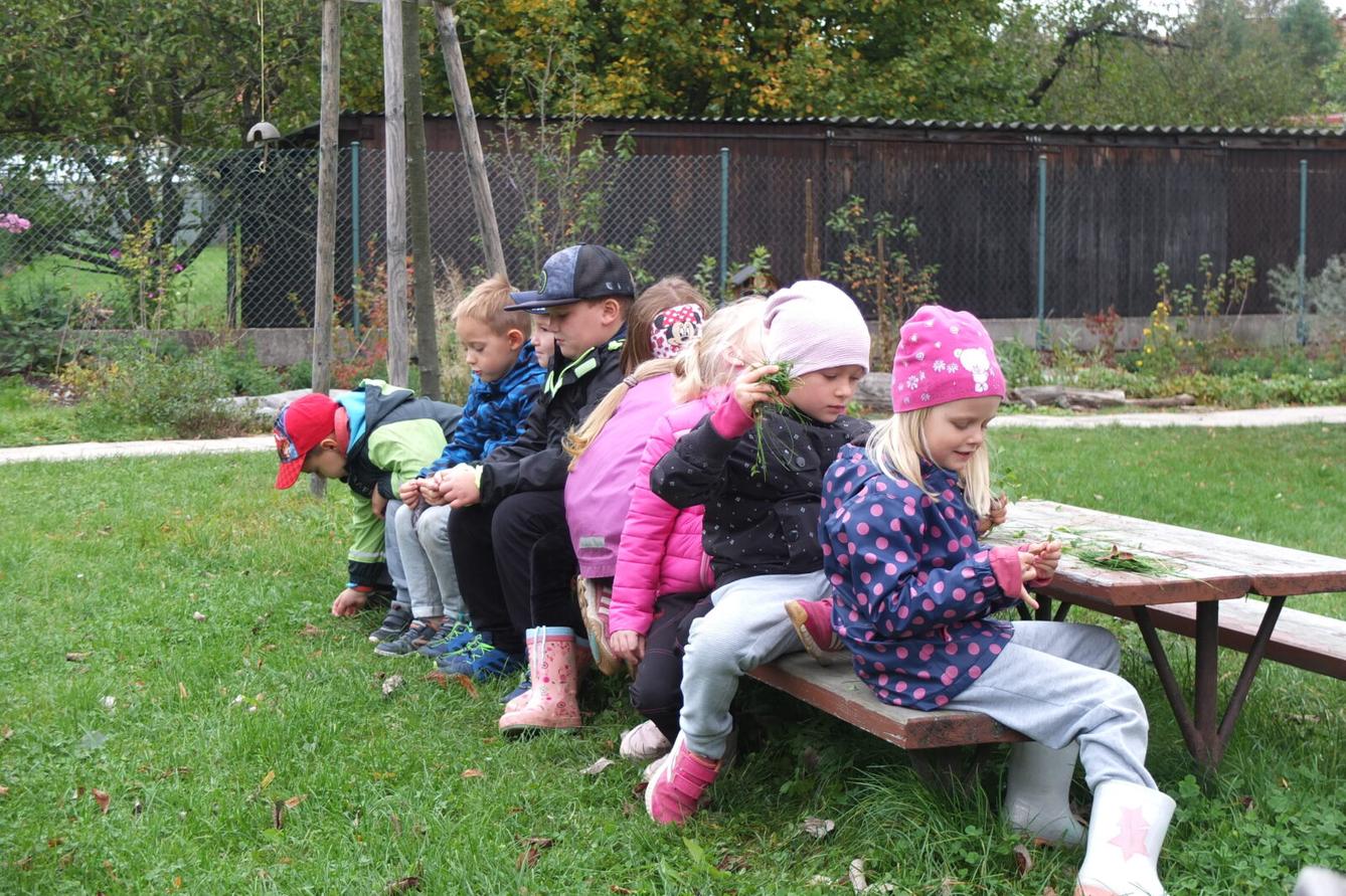 Sochy ze dřeva - p. Petrlák - 17