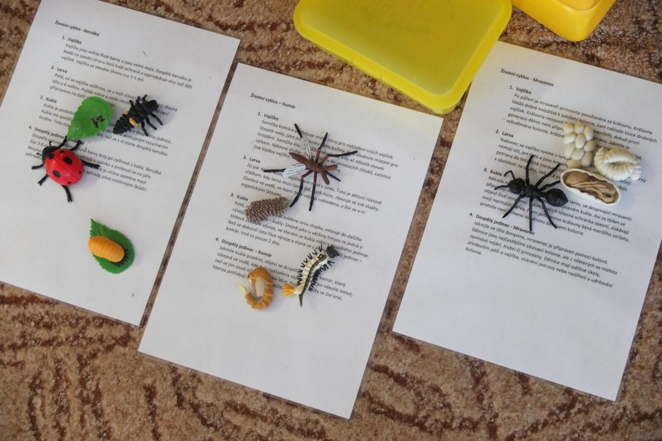 Program BROUČCI - 61