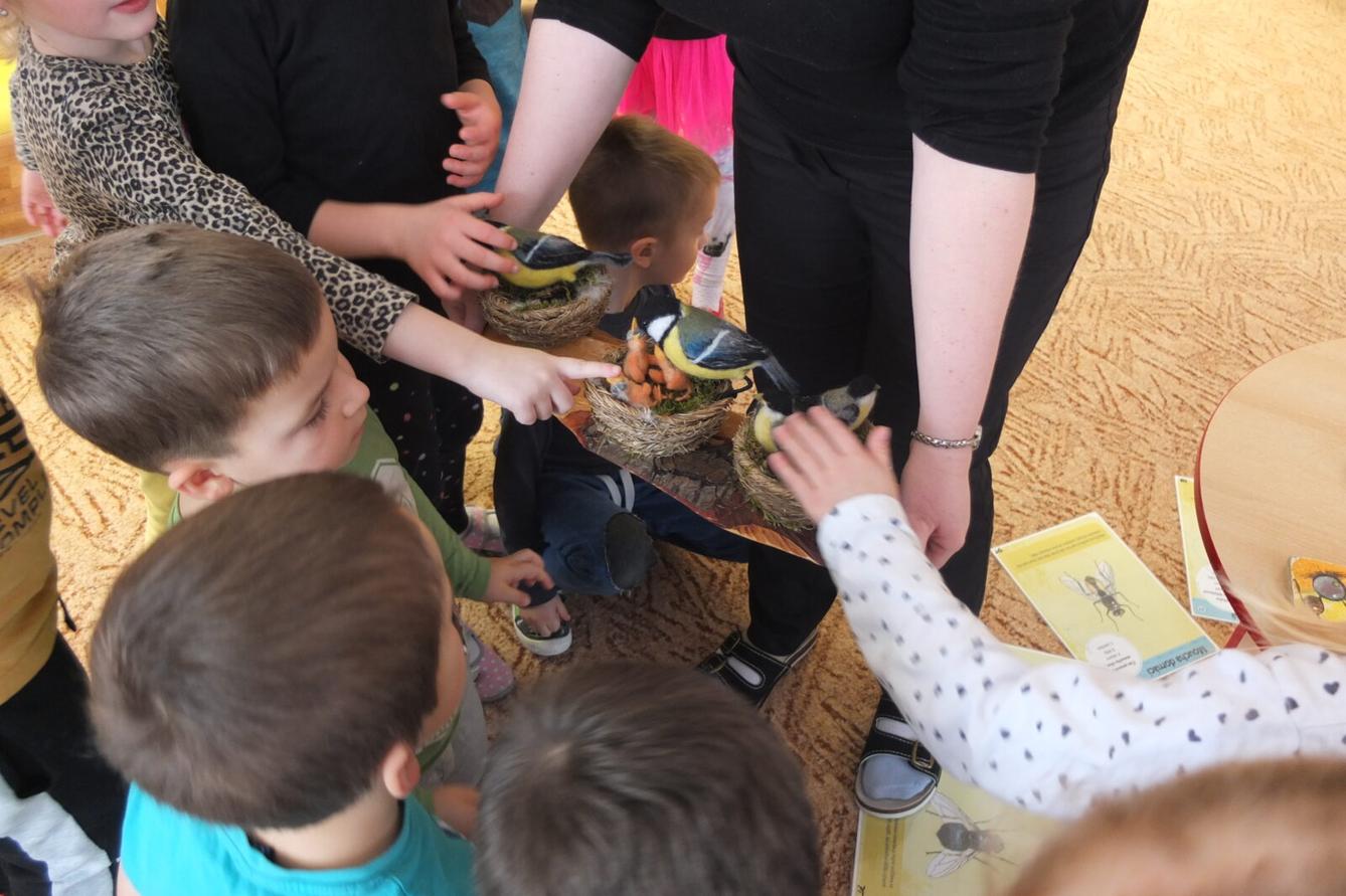 Program BROUČCI - 76