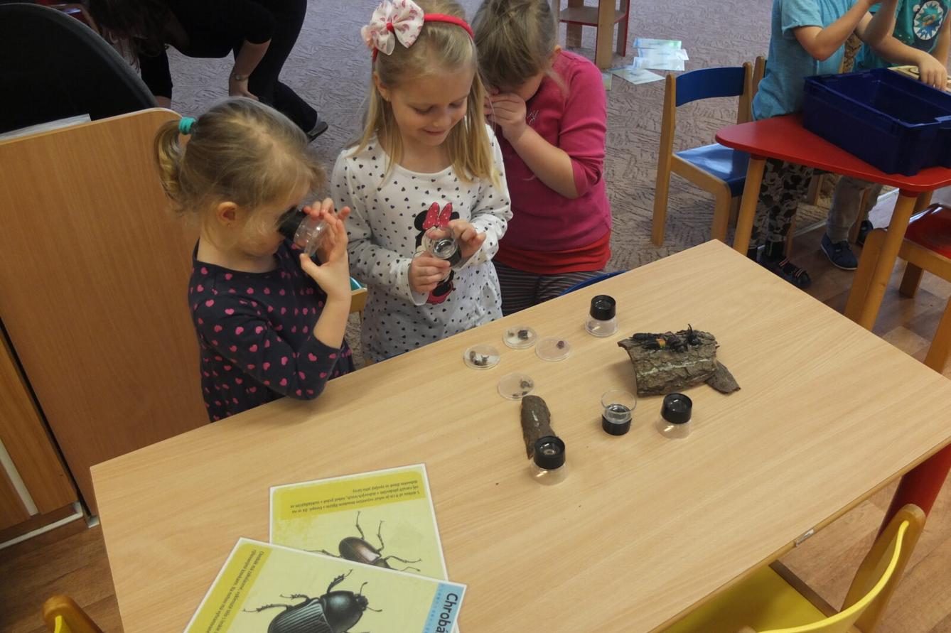 Program BROUČCI - 81