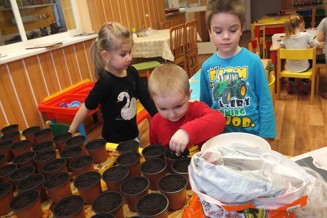 Jaro 2018, setí semínek a příprava na Velikonoce - 1